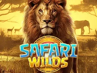 Safari Wilds game cover